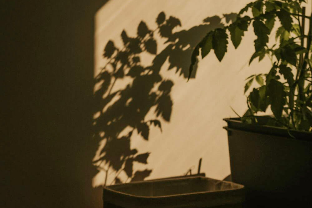 insight-psicologia-terapia-psicoanalitica-cdmx.jpg