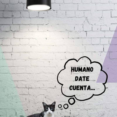 Insight-Psicomichis-Humano date cuenta